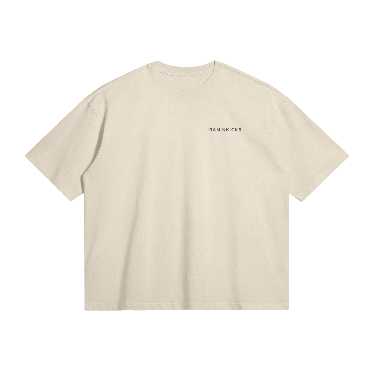 Basic T-Shirt product photo