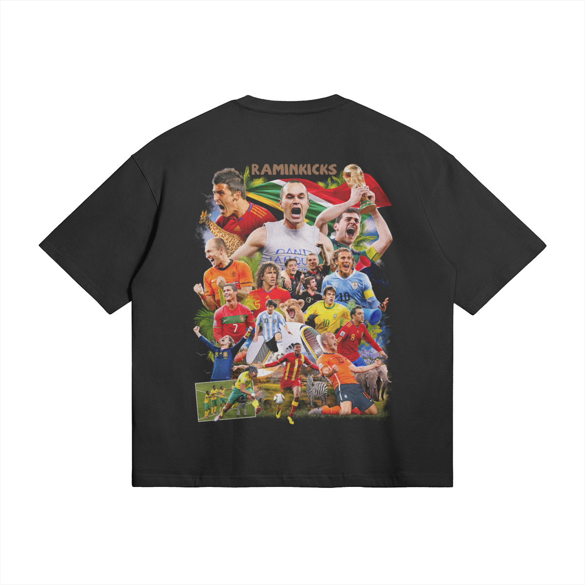 South Africa World Cup (2010 Spain Winners) product photo